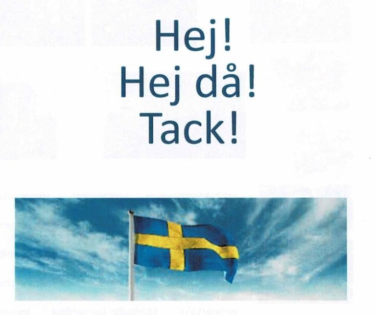 Eine schwedische Flagge ist zu sehen.
